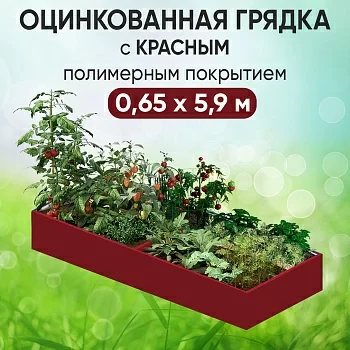 Грядка красная (0,65 х 5,9)