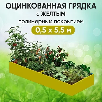 Грядка желтая (0,5 х 5,5)