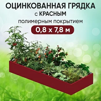 Грядка красная (0,8 х 7,8)