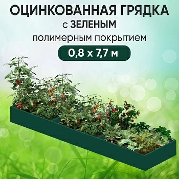 Грядка зеленая (0,8 х 7,7)
