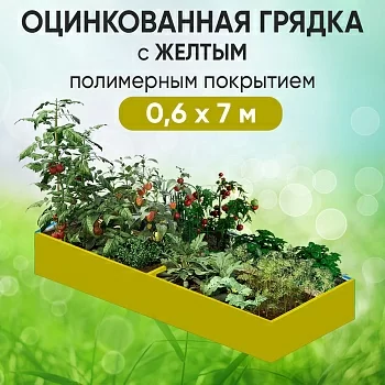 Грядка желтая (0,6 х 7)