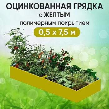 Грядка желтая (0,5 х 7,5)
